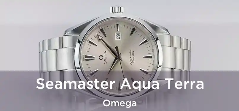  Seamaster Aqua Terra Omega